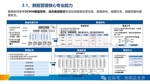 XX集團數據治理體系建設方案